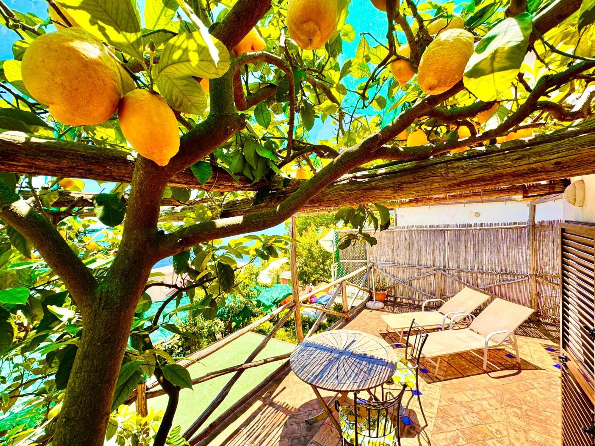 Emotion Apartment Praiano Exterior photo
